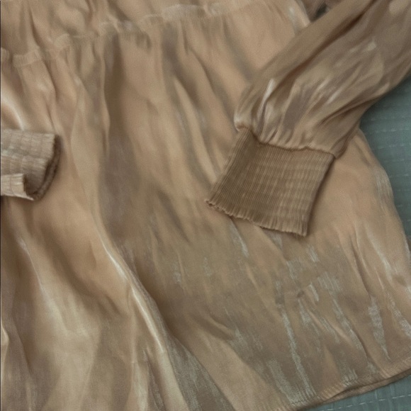 Hayden Shimmering Rose Gold Blouse - Picture 3 of 3